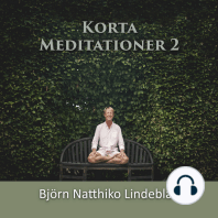 Korta Meditationer 2