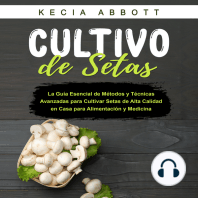 CULTIVO DE SETAS