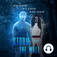 Storm and the Wall
