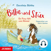 Billie und Stüx. Ein Pony fällt vom Himmel