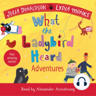 What the Ladybird Heard Adventures