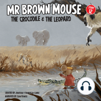 Mr Brown Mouse The Crocodile And The Leapard