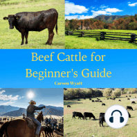 Raising Beef Cattle for Beginner's Guide