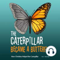 The Caterpillar Became a Butterfly