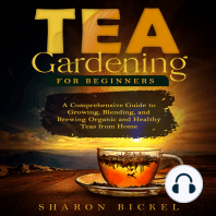 TEA GARDENING FOR BEGINNERS