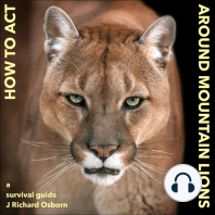 How to Act around Mountain Lions