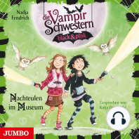 Die Vampirschwestern black & pink. Nachteulen im Museum [Band 6]