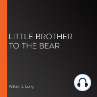 Little Brother to the Bear