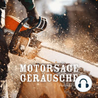 Motorsäge Geräusche