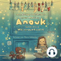 Anouk und das Geheimnis der Weihnachtszeit (Anouk 3)