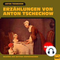 Erzählungen von Anton Tschechow - Band 5