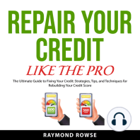 Repair Your Credit Like the Pro