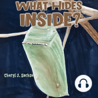 What Hides Inside?