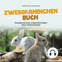 Zwergkaninchen Buch