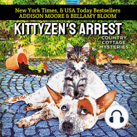 Kittyzen's Arrest