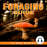 FORAGING GUIDE