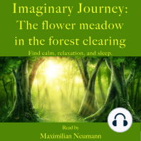 Imaginary Journey