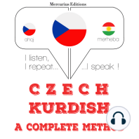 Čeština - kurdština