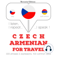 Česko - Arménština