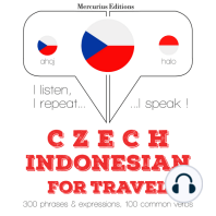 Česko - indonéština
