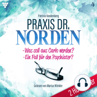 Praxis Dr. Norden 2 Hörbücher Nr. 4 - Arztroman