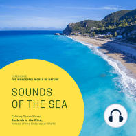 Sounds Of The Sea