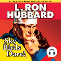 Sky Birds Dare!