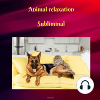 Animal Relaxation Subliminal