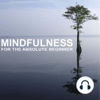 Mindfulness for the Absolute Beginner