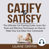 Catify to Satisfy