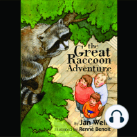 The Great Raccoon Adventure
