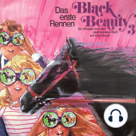 Black Beauty, Folge 3