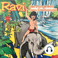 Ravi, Der Junge aus dem Dschungel