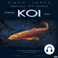 Keeping Koi Carp