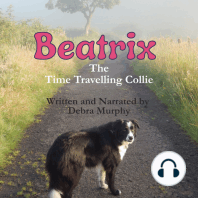 Beatrix The Time Travelling Collie