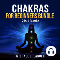 Chakras for Beginners Bundle