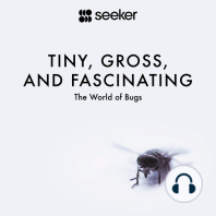 Tiny, Gross, and Fascinating