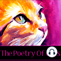 The Poetry of Cats