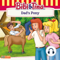 Bibi and Tina, Dad's Pony