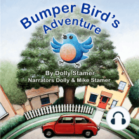 Bumper Bird's Adventure