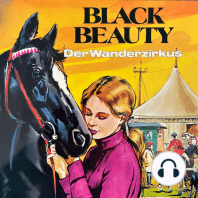 Black Beauty, Folge 2