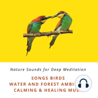Nature Sounds for Deep Meditation