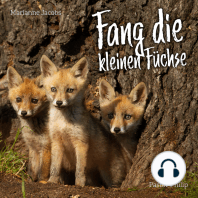 Fang die kleinen Füchse