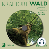 Kraftort Wald