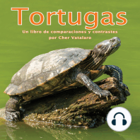 Tortugas