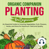 Organic Companion Planting for Beginners
