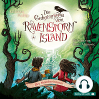 Die Geheimnisse von Ravenstorm Island 3