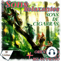 Coleção Sons Relaxantes - sons de cigarras