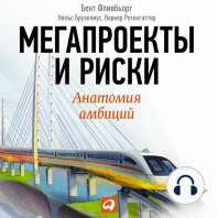 Мегапроекты и риски