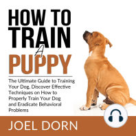 How to Train a Puppy